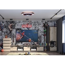 Гостиная Nature. Комплект 2, гаскон пайн