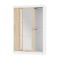Шкаф-купе Денвер ШКК-03, белый/сонома