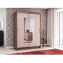 Шкаф-купе двухдверный с зеркалом Элегант-1 Ясень шимо