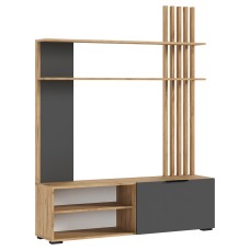 Гостиная Роджинамиф, Графит, Дуб крафт