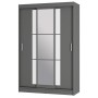 Шкаф-купе "Денвер" ШКК-03 Графит