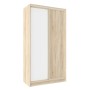 Шкаф-купе двухдверный с зеркалом 1200 Домашний Дуб сонома