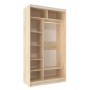 Шкаф-купе двухдверный с зеркалом 1200 Домашний Дуб сонома