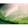 Газонное покрытие ERFOLG HOME&GARDEN