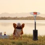 Уличный газовый инфракрасный обогреватель с комплектом для подключения «ГРИБОК» цвет: Черный