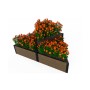 Доска грядочная NauticPrime 300*30*2950мм, венге