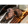 Газовый гриль Nexgrill Prime BISON 5B
