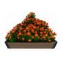 Доска грядочная NauticPrime 300*30*2950мм, венге