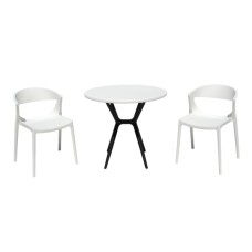 Набор мебели ЕВОК  арт.PP0005WPб+PP9901WRбч белый, черный,  (2стула ЕВОК бел+стол ТЕОРИ бел с чер ножками) 
