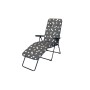 Кресло -шезлонг Альберто-2 тафтинг арт.с1011/74 (в уп.2 шт.)(каркас серый, ткань цветы) 