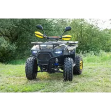 Комплект квадроцикла GRIZLIK PREMIUM 125 желтый камуфляж Комплект квадроцикла GRIZLIK PREMIUM 125 желтый камуфляж