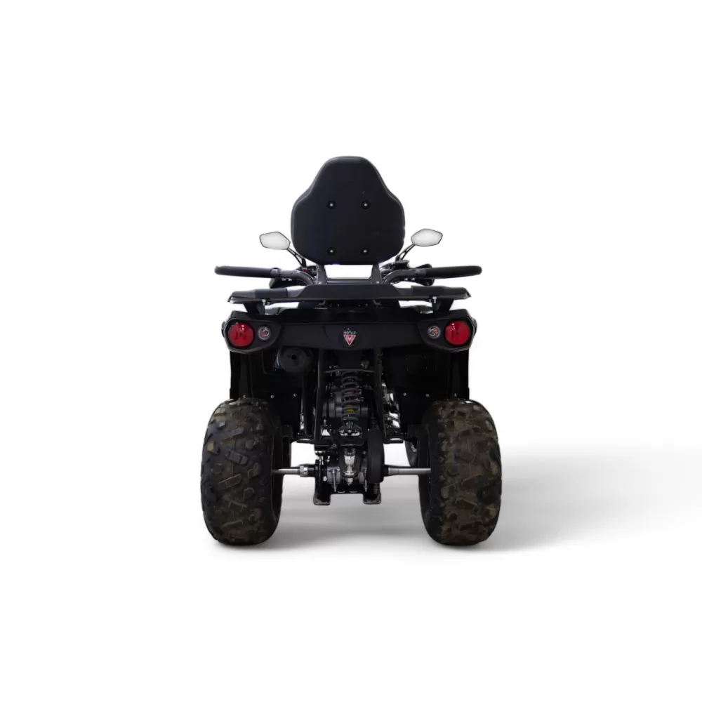 Комплект квадроцикла GRIZLIK 200 ULTRA BIG серый-черный Комплект квадроцикла GRIZLIK 200 ULTRA BIG серый-черный