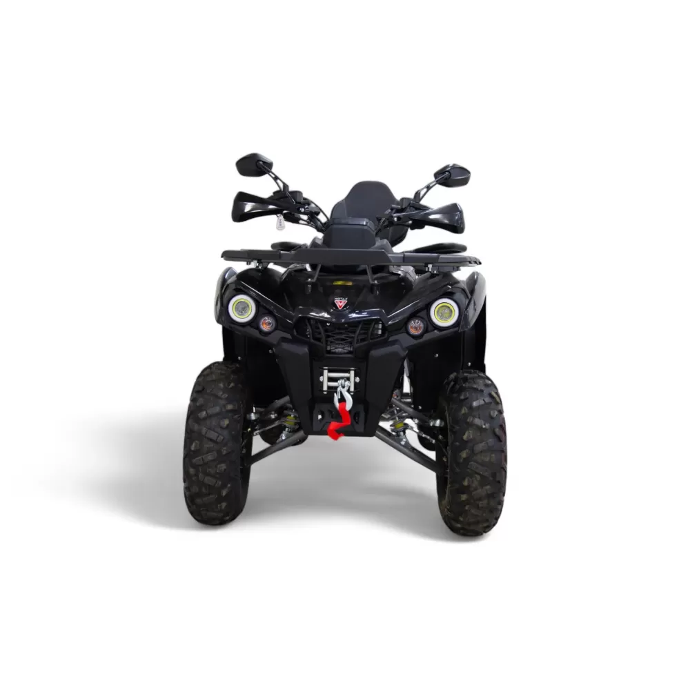 Комплект квадроцикла GRIZLIK 200 ULTRA BIG серый-черный Комплект квадроцикла GRIZLIK 200 ULTRA BIG серый-черный