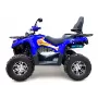 Комплект квадроцикла GRIZLIK 200 ULTRA BIG серый-синий