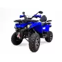 Комплект квадроцикла GRIZLIK 200 ULTRA BIG серый-синий