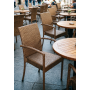 Кресло плетеное Dove RH/DOVE/armchair/BRLUX
