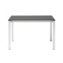 Стол ламинированный раздвижной Pranzo Extendable 005/2419VB81