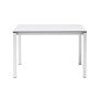 Стол ламинированный раздвижной Pranzo Extendable 005/2419VB10