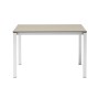 Стол ламинированный раздвижной Pranzo Extendable 005/2419VB15