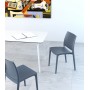 Стул пластиковый Maya 234/025-6076