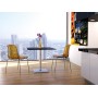 Стул прозрачный Allegra 234/057-4737