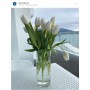 Стол пластиковый Sky Table 80 234/106-0135