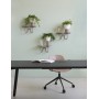 Кресло офисное пластиковое Mentha Go Green 005/2713VN81