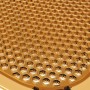 Стул прозрачный Bee 234/021-3891