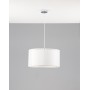 Светильник подвесной Moderli V10498-1P Room