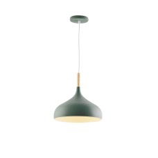 Подвесной светильник Moderli V1296-1P Eline
