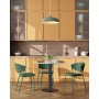 Подвесной светильник Moderli V10656-1P Hygo