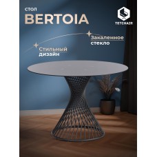 Стол BERTOIA (mod. GT21) Стол BERTOIA (mod. GT21)