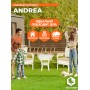 Комплект террасный ANDREA (стол кофейный со стеклом + 2 кресла + подушки)