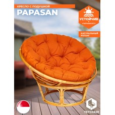 Кресло PAPASAN/ПАПАСАН 23/01 W  /с подушкой/