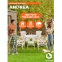 Комплект обеденный "ANDREA" ( стол со стеклом + 4 кресла + подушки)