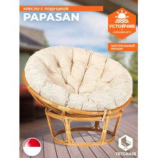 Кресло PAPASAN/ПАПАСАН 23/01 W  /с подушкой/