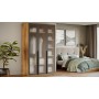 Шкаф для одежды (580) с 3 стеклянными дверями
