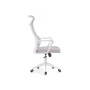 Компьютерное кресло Rino light gray / white