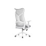 Компьютерное кресло Klif gray / white