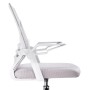 Компьютерное кресло Arrow light gray / white