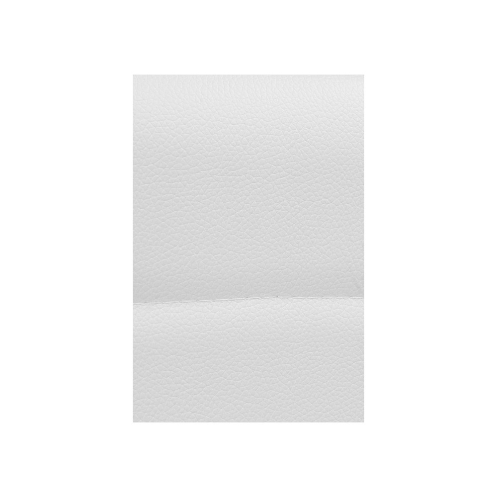 Стул на металлокаркасе DC2-001 искусственная кожа белый / белый Стул на металлокаркасе DC2-001 искусственная кожа белый / белый