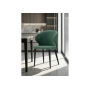 Стул на металлокаркасе Алсисар катания изумруд / черный