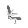 Компьютерное кресло Elga gray / white