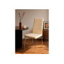 Стул на металлокаркасе на металлокаркасе DC2-001 beige