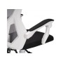 Компьютерное кресло Torino gray / white