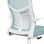 Компьютерное кресло Montana blue / white