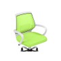 Компьютерное кресло Ergoplus green  / white