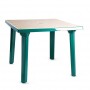 Пластиковый стол квадрат зеленый с рисунком 900х900х710